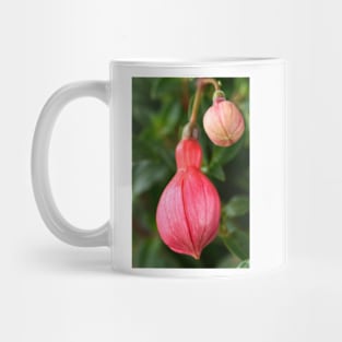 Fuchsia  &#39;Ringwood Market&#39;  Flower buds Mug